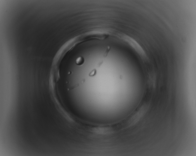 X0000101410804200807071253