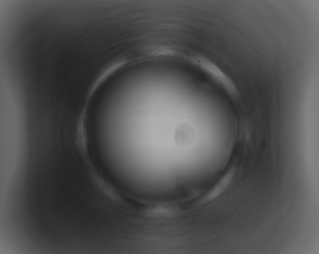 X0000101410806200807071253