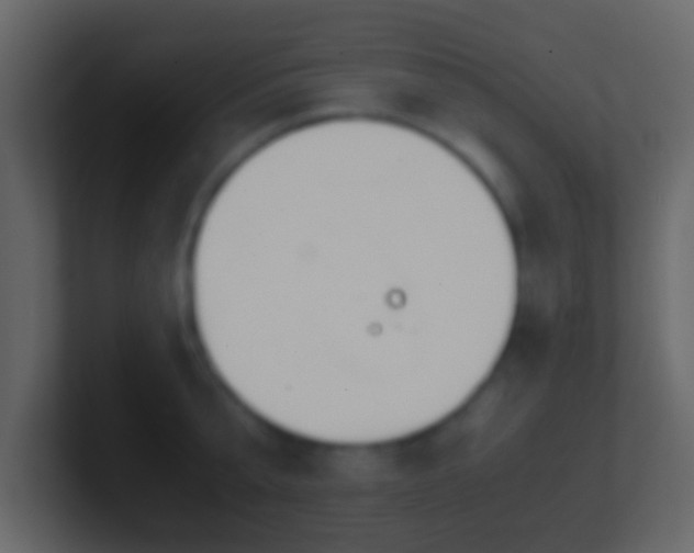 X0000101410807200807071253