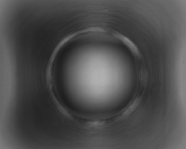 X0000101410808200807071253