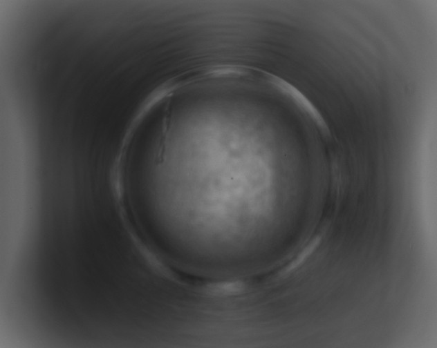 X0000101410810200807071253