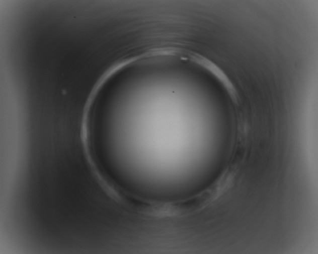 X0000101410811200807071253