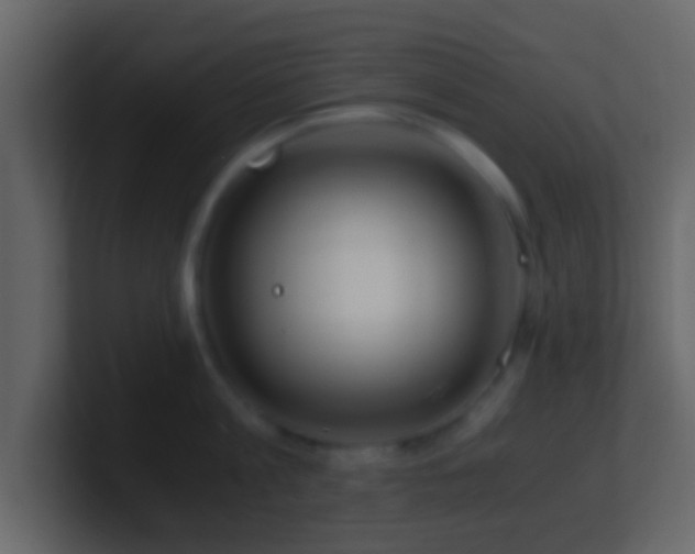 X0000101410813200807071253