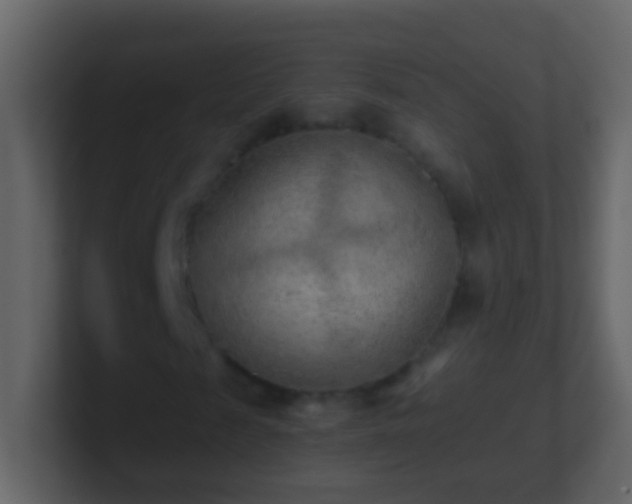 X0000101410817200807071253