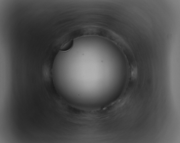 X0000101410819200807071253