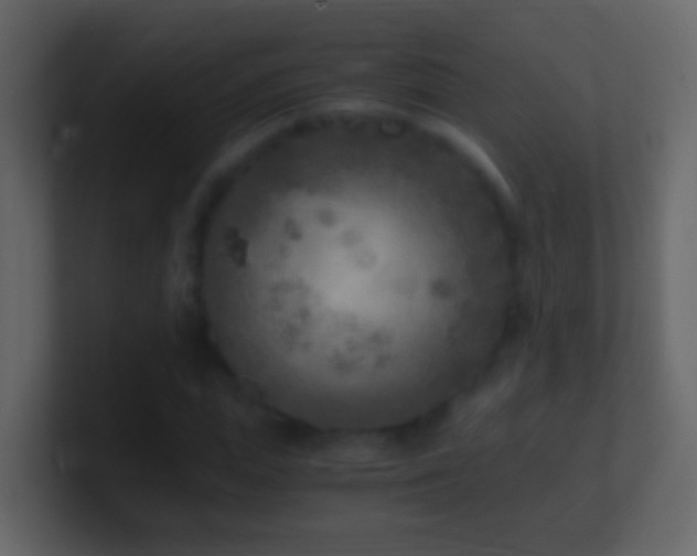 X0000101410823200807071253