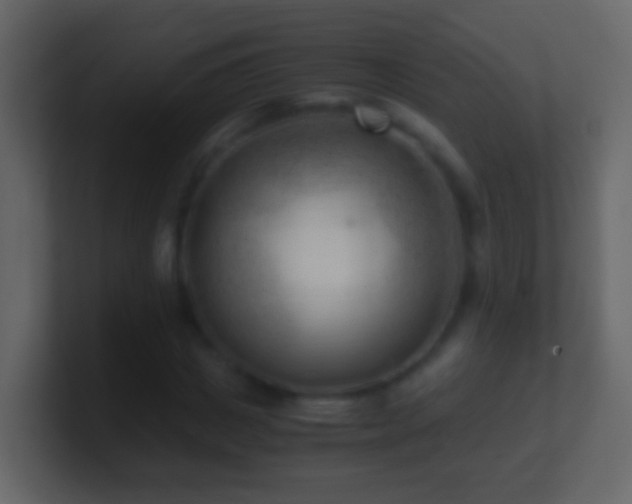 X0000101410825200807071253