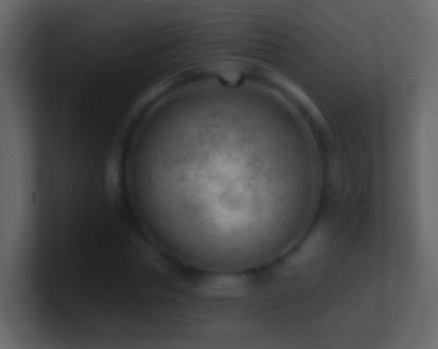 X0000101410826200807071253