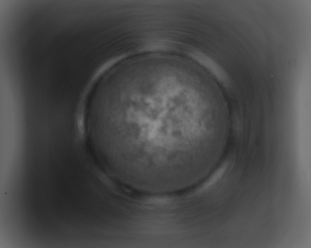 X0000101410830200807071253