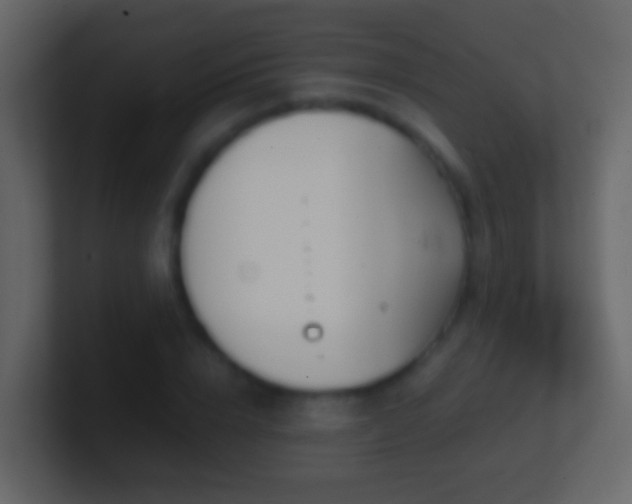 X0000101410832200807071253