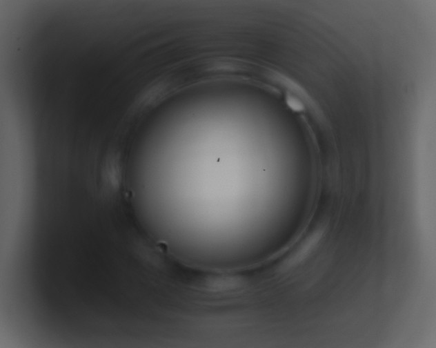 X0000101410833200807071253
