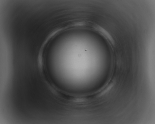 X0000101410835200807071253