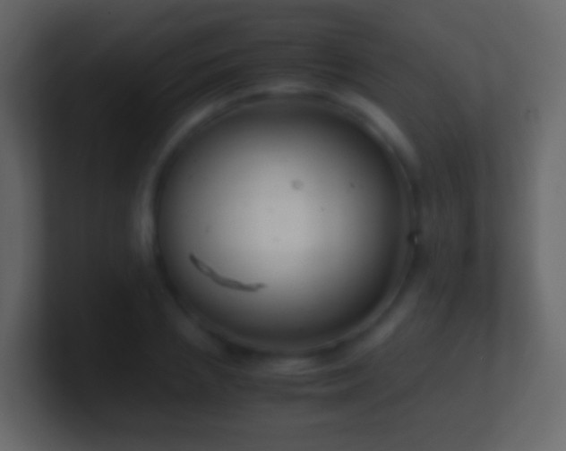 X0000101410837200807071253