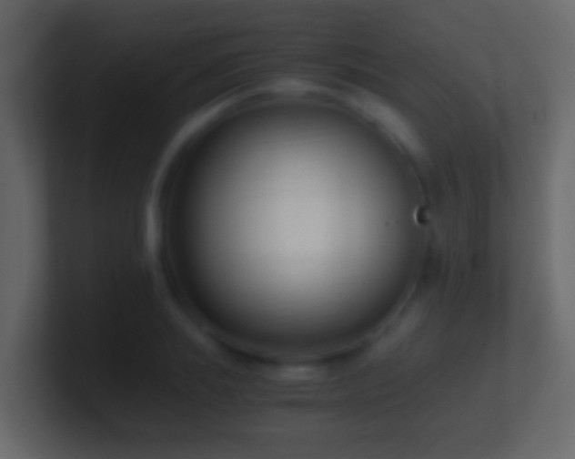 X0000101410839200807071253