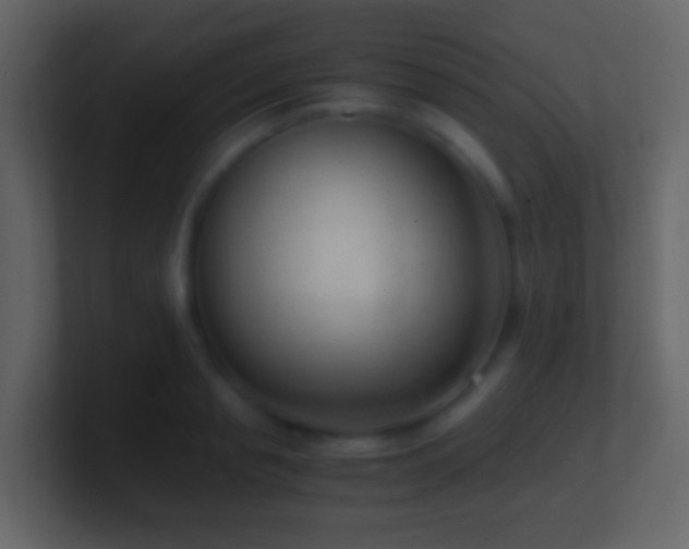 X0000101410845200807071253