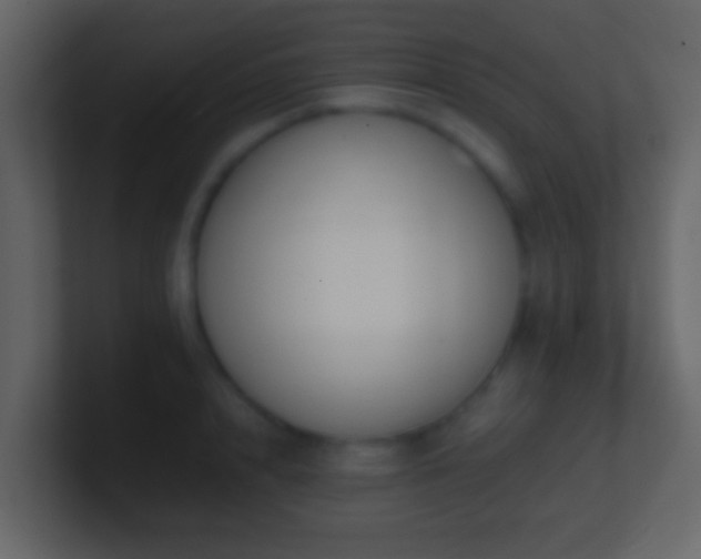 X0000101410848200807071253