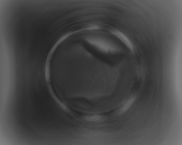 X0000101410851200807071253