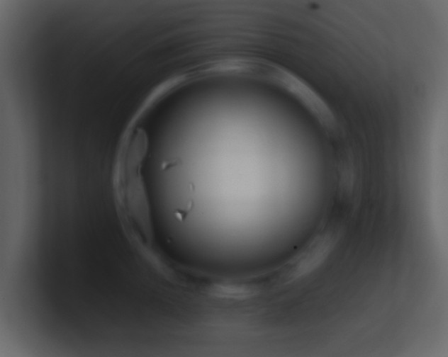 X0000101410852200807071253