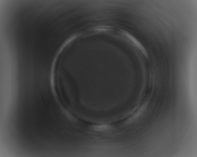 X0000101410853200807071253