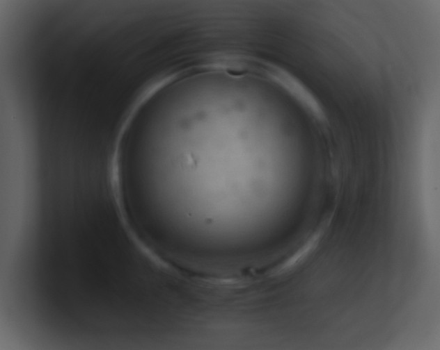 X0000101410855200807071253