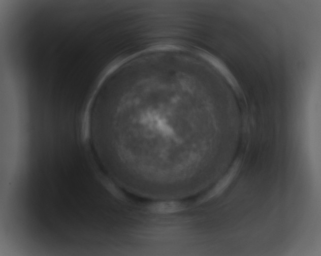 X0000101410858200807071253
