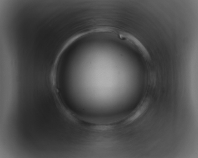 X0000101410860200807071253