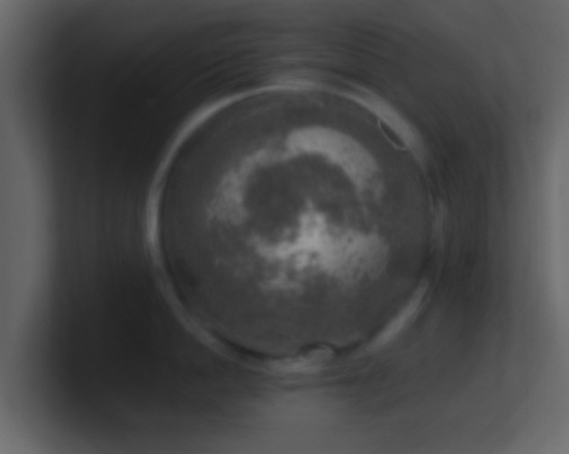 X0000101410862200807071253