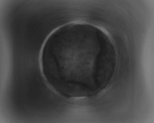 X0000101410864200807071253