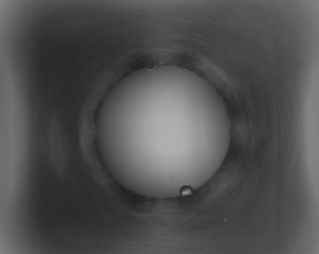 X0000101410865200807071253