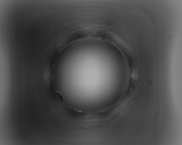 X0000101410867200807071253
