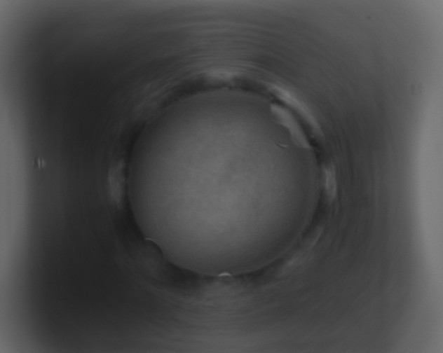 X0000101410868200807071253