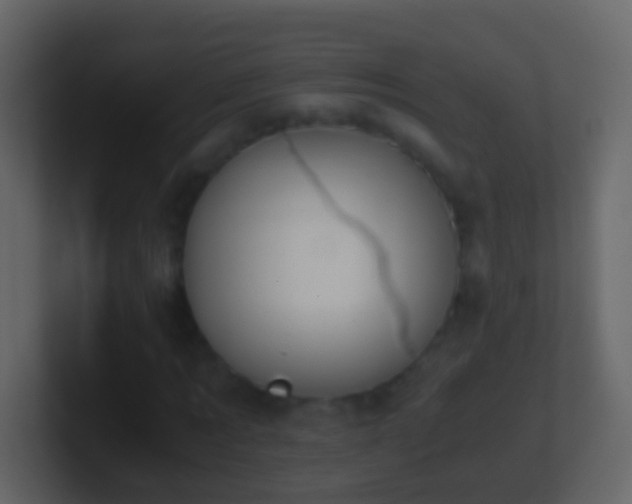 X0000101410869200807071253