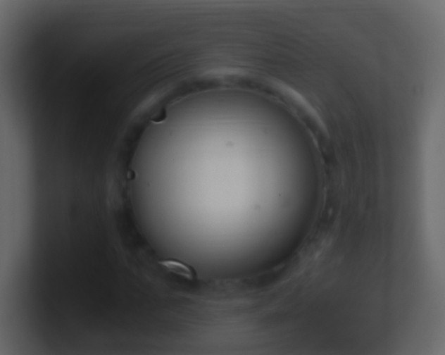 X0000101410871200807071253