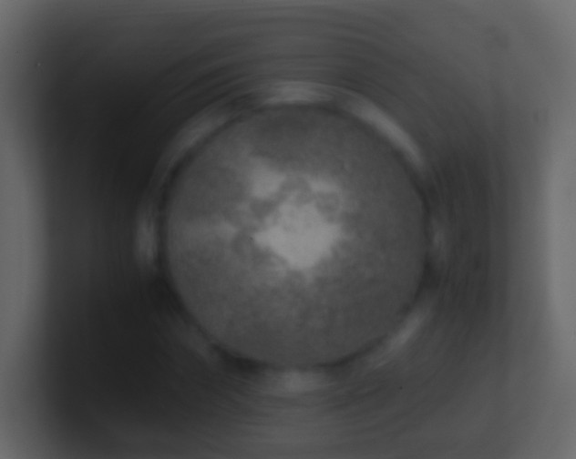 X0000101410874200807071253