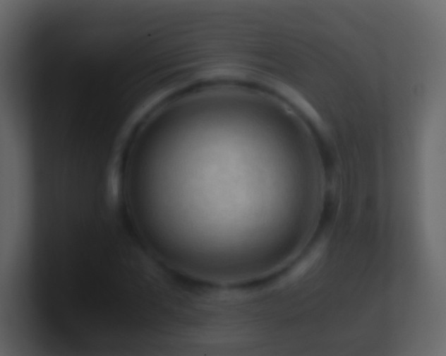 X0000101410877200807071252