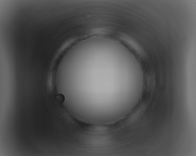 X0000101410878200807071252