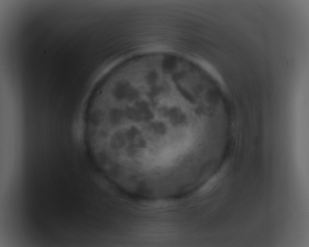 X0000101410879200807071252