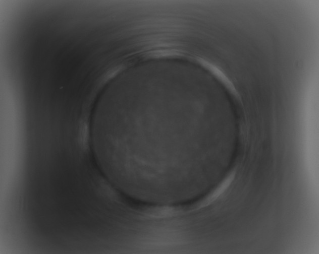 X0000101410881200807071252