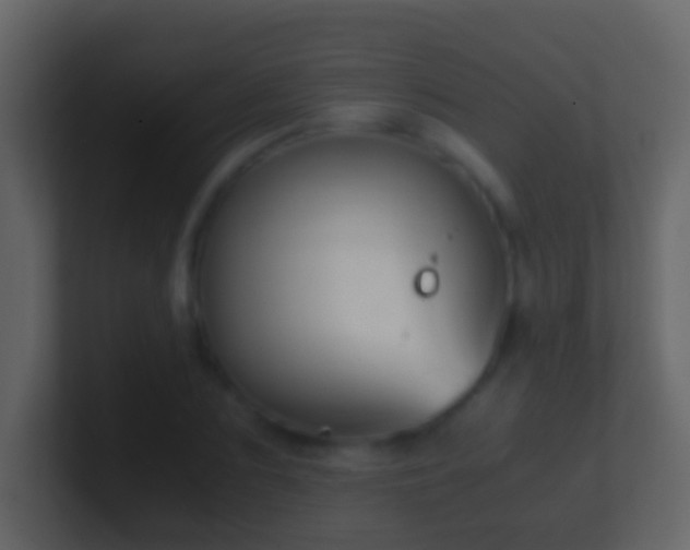 X0000101410883200807071252