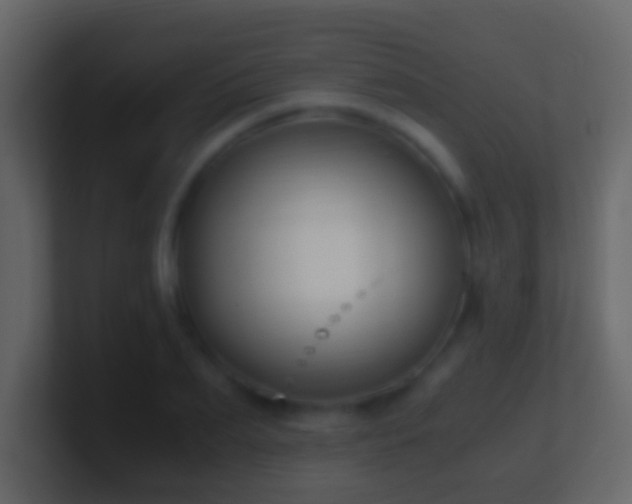 X0000101410887200807071252