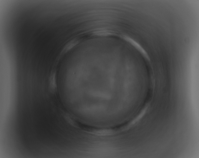 X0000101410889200807071252