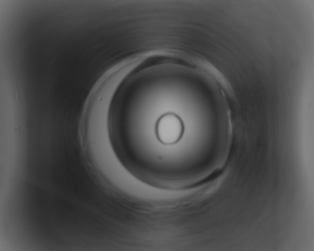 X0000101410892200807071252