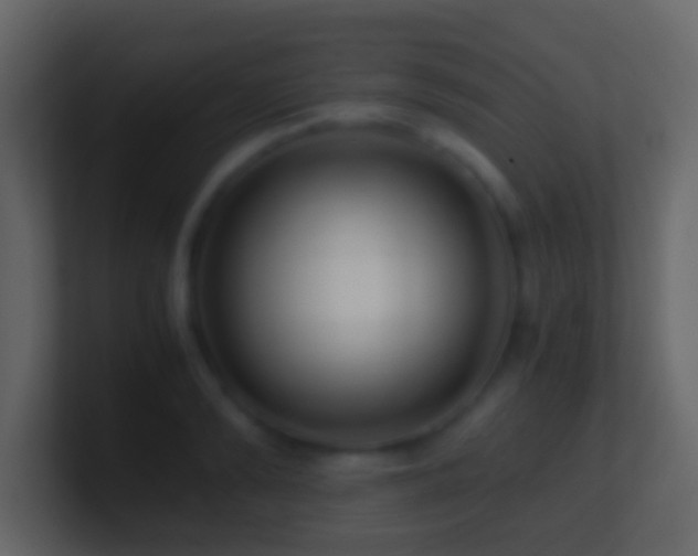 X0000101410894200807071252