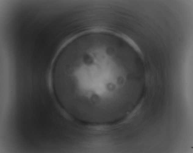 X0000101410895200807071252