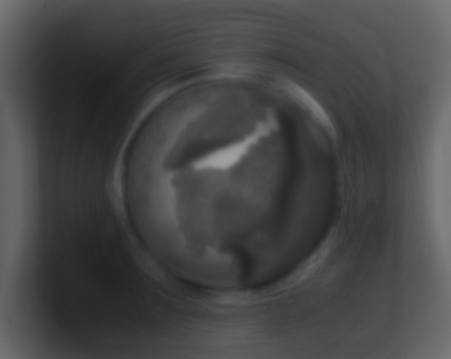 X0000101410899200807071252