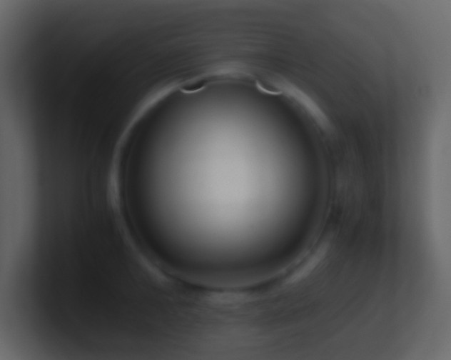 X0000101410902200807071252