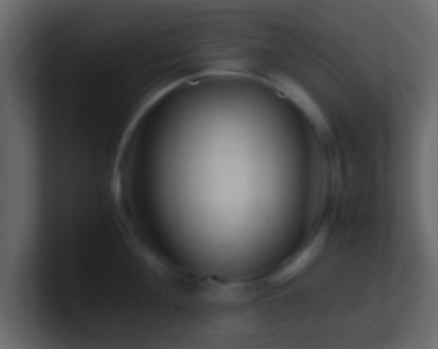 X0000101410908200807071252