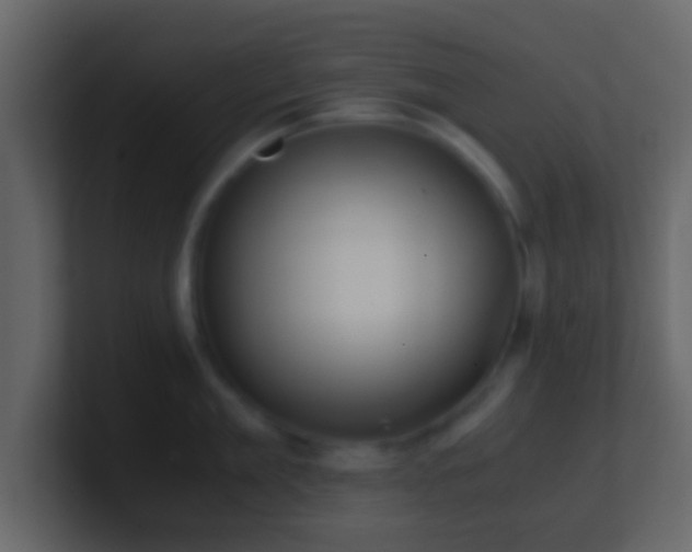 X0000101410909200807071252