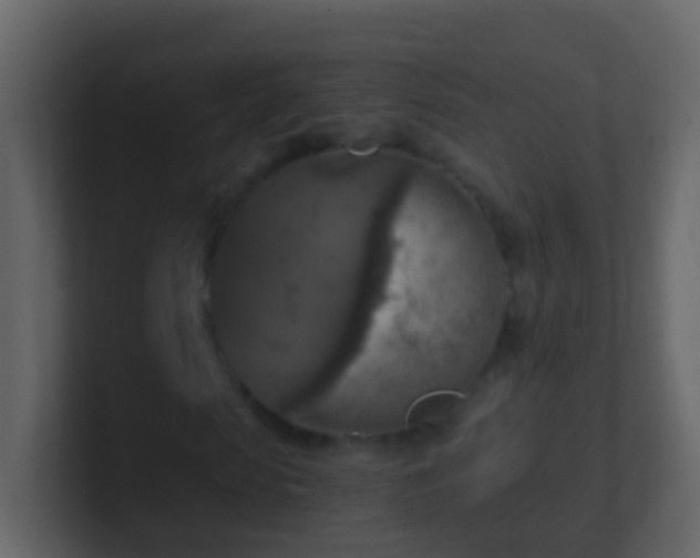 X0000101410913200807071251
