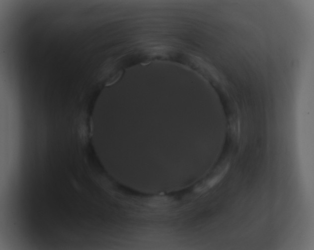 X0000101410916200807071251